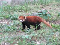 Guilin - Besuch Sechs-Sterne-Park