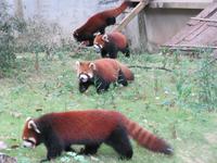 Guilin - Besuch Sechs-Sterne-Park