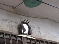 Yanshou - Fahrt durch Bauernland - Spiegel mit Gabel gegen böse Geister