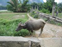 Yanshou - Fahrt durch Bauernland
