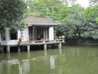 Kanton - Orchideen-Garten