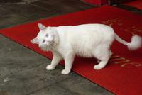 Impressionen aus Chongqing (8)