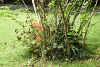 Hangzhou Westsee (7)