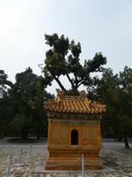 Ming Gräber; Anlage Changling (7)