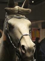 Xi'an Terrakotta Armee (41)