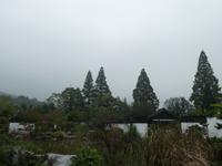 Hangzhou; Bonsaigarten (1)