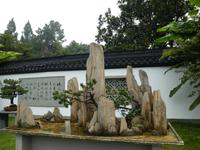 Hangzhou; Bonsaigarten (4)
