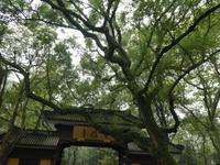 Hangzhou; Lingyin Tempel (2)