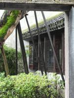 Wuzhen (21)
