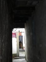 Wuzhen (27)