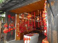 Wuzhen (36)