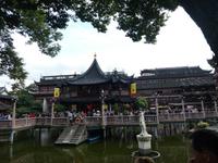 Shanghai (9)