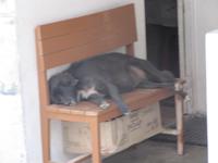 So liegt es sich gut :-)