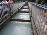 Schlucht von Pokhara