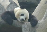 ... &ndash; &copy; Frank Nimschowski (Eberhardt TRAVEL)