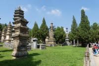 Pagodenwald &ndash; &copy; Frank Nimschowski (Eberhardt TRAVEL)