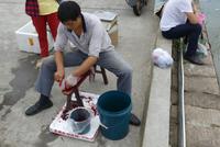 ... &ndash; &copy; Frank Nimschowski (Eberhardt TRAVEL)