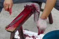 viel ist nicht dran &ndash; &copy; Frank Nimschowski (Eberhardt TRAVEL)