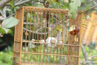 12.Tag, Nanjing &ndash; &copy; Frank Nimschowski (Eberhardt TRAVEL)