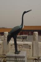 Verbotene Stadt - Kranich