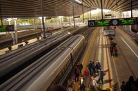 Schnellzug nach Zhengzhou