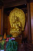 Große Wildganspagode