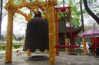 Kleine Wildganspagode