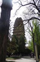 Kleine Wildganspagode