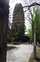 Kleine Wildganspagode