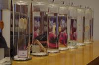 Suzhou - Seidenspinnerei