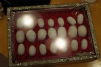 Suzhou - Seidenspinnerei