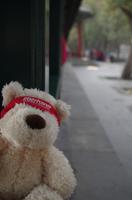 Eberhardt-Bärchen auf Reisen