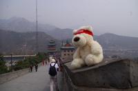 Eberhardt-Bärchen auf Reisen