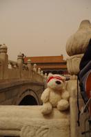 Eberhardt-Bärchen auf Reisen