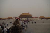 Eberhardt-Bärchen auf Reisen