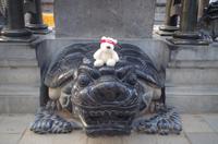 Eberhardt-Bärchen auf Reisen