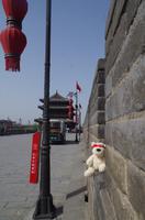 Eberhardt-Bärchen auf Reisen