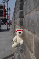 Eberhardt-Bärchen auf Reisen