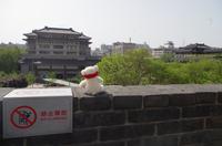 Eberhardt-Bärchen auf Reisen