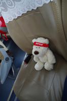 Eberhardt-Bärchen auf Reisen