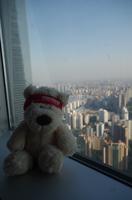 Eberhardt-Bärchen auf Reisen