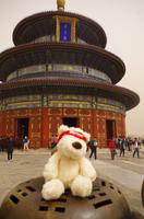 Eberhardt-Bärchen auf Reisen