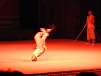Kung-Fu Show