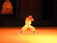 Kung-Fu Show