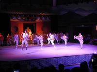 Kung-Fu Show