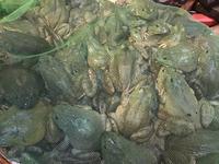 Markthalle Chongqing