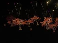 Liveshow Three Kingdoms - Der Krieg der drei Königreiche