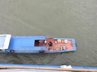 Guten Morgen! Wolle Fische kaufe? :-)