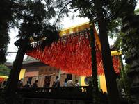 Lingyin Tempel Hangzhou China