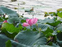 Westsee Hangzhou China